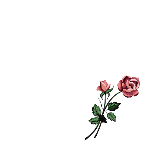 Drake 'Certified Lover Boy' Digital Ad