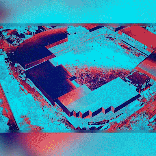 Back N Fourth 'Best Friend' - Lyric Video