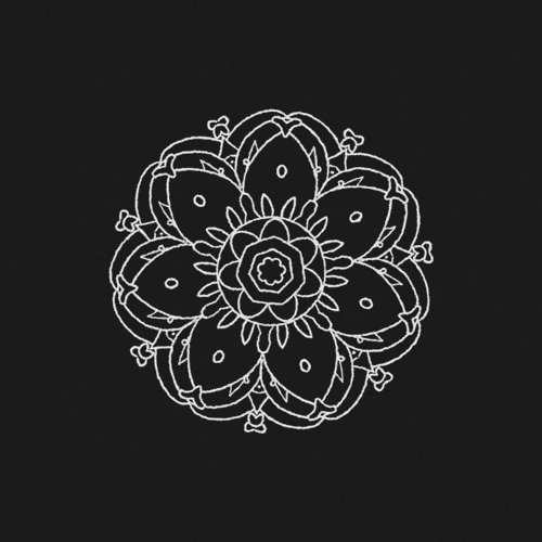 Brother Bird - Everything Is Fine - GIF01