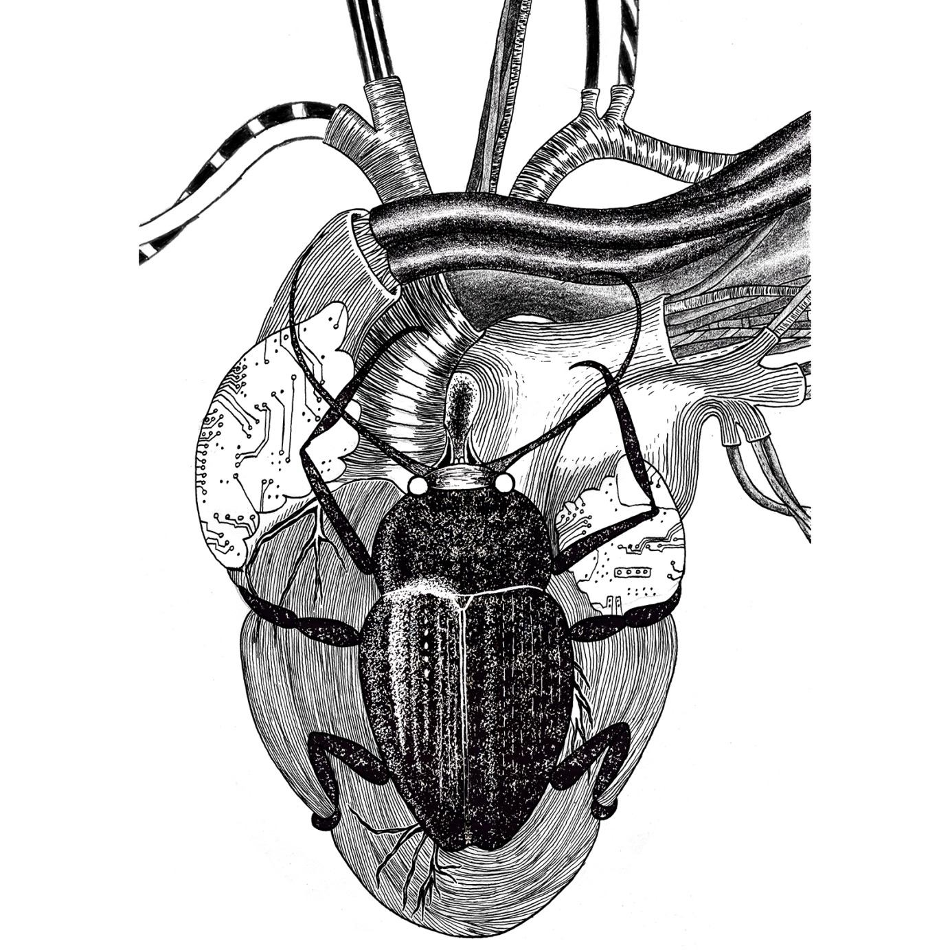 Artwork for by Adamai