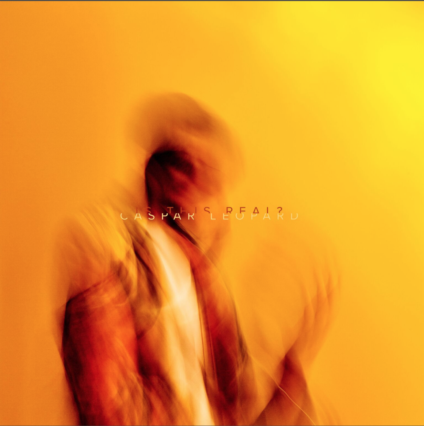 Photography for Caspar Leopard by JC VERONA