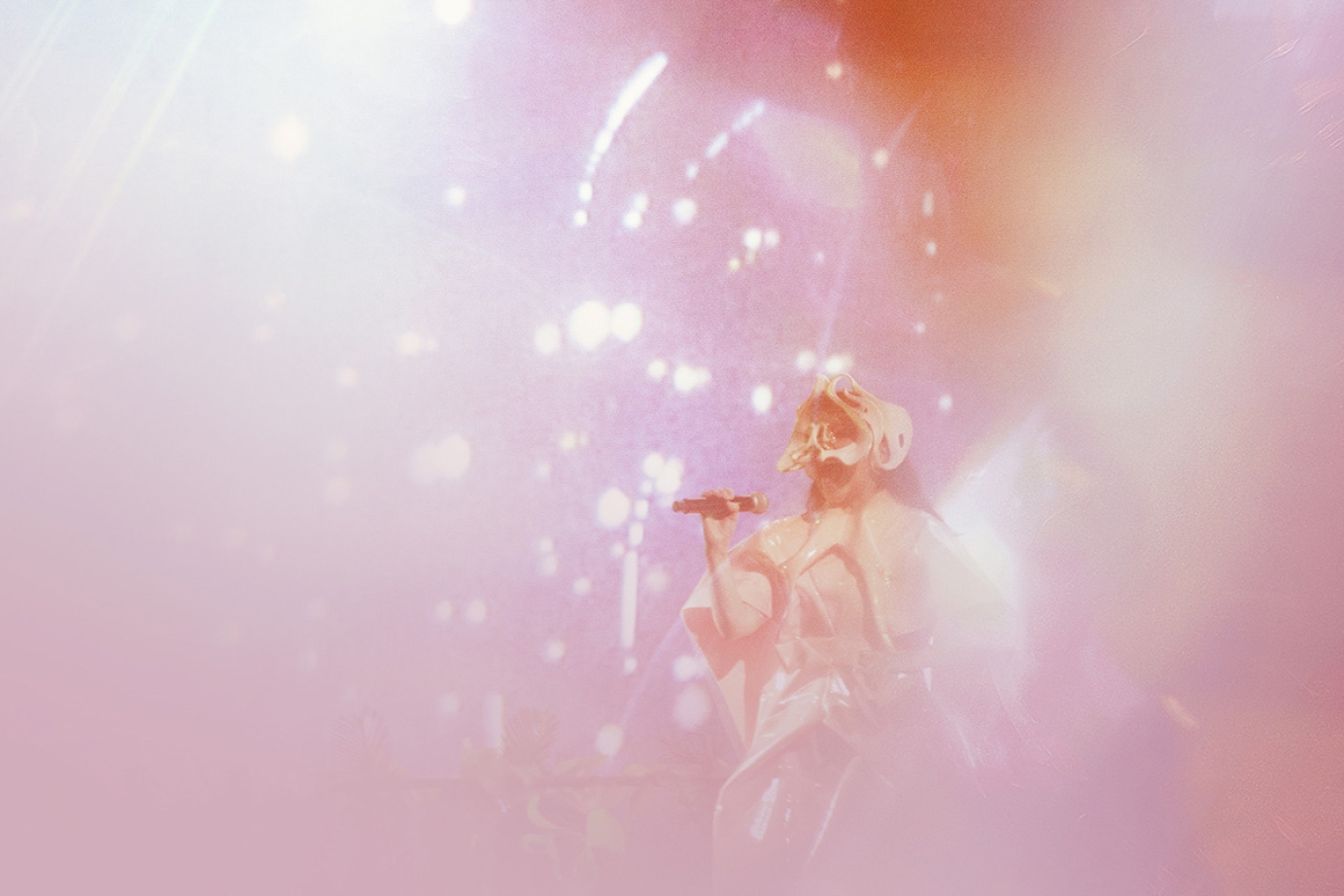 Live photography for by marialouceiro