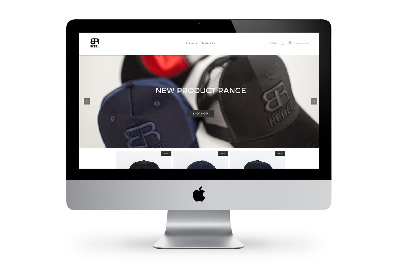Website for by Mr Ryan