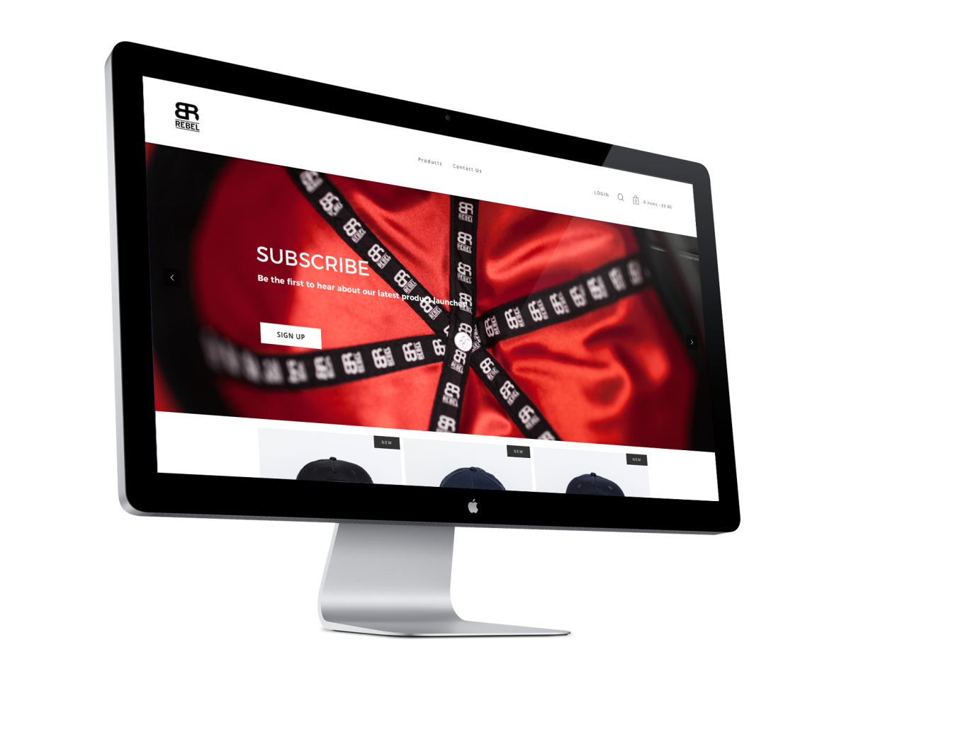 Website for by Mr Ryan