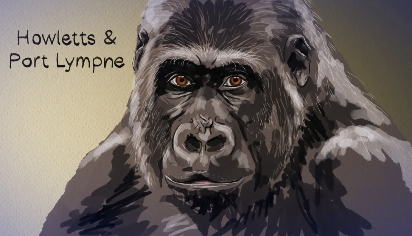 WeLoveKent App Animation by Nat Urwin