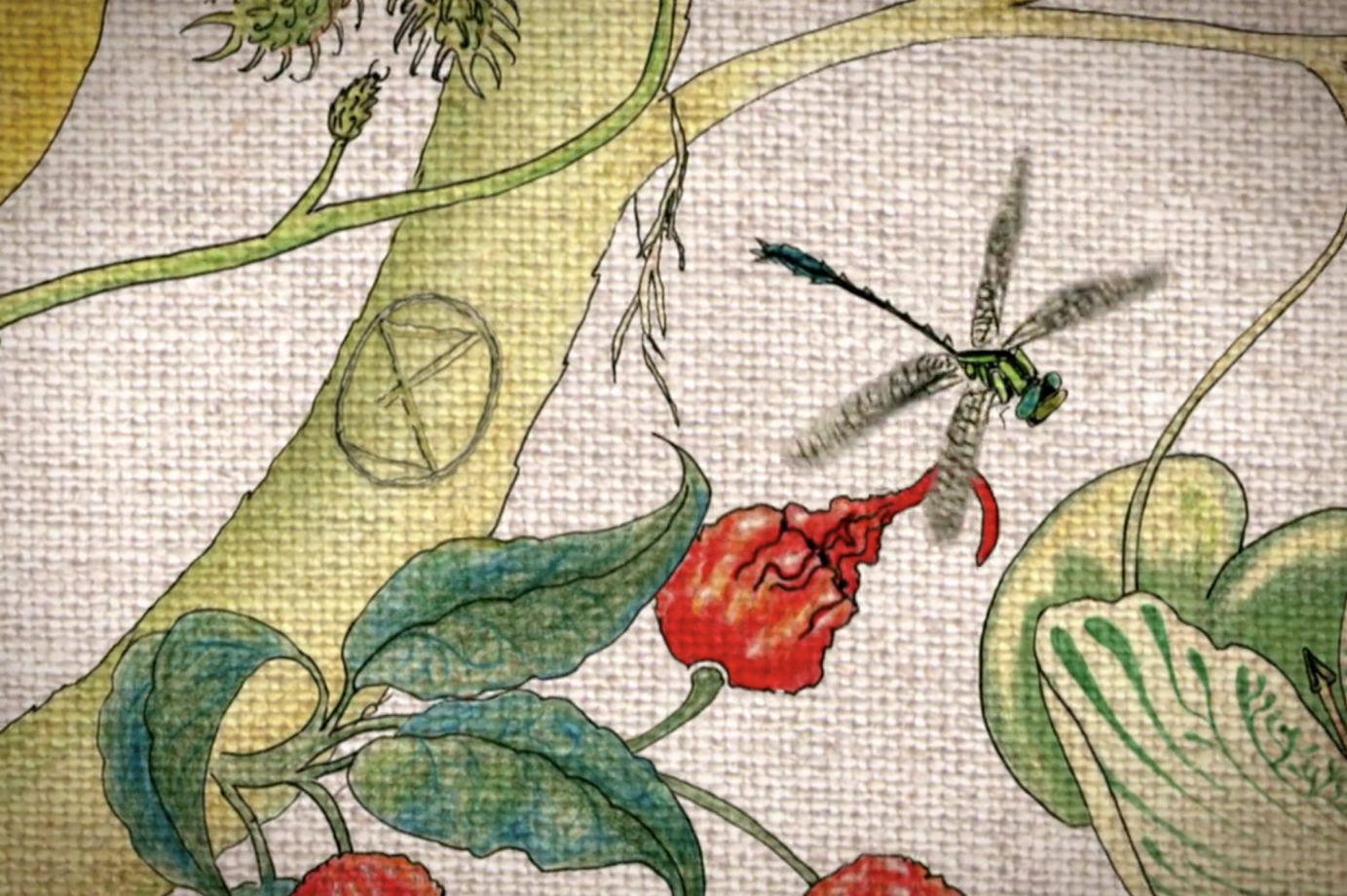 Newton Paisley Animation by Nat Urwin