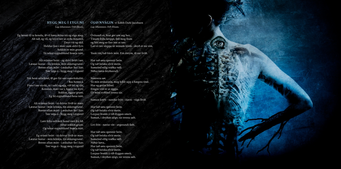 Creative direction for Bragdarlogi by Visual Decay