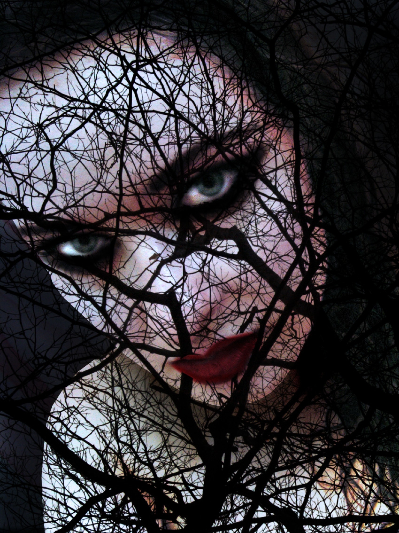 Photography for by PurpleHurricane