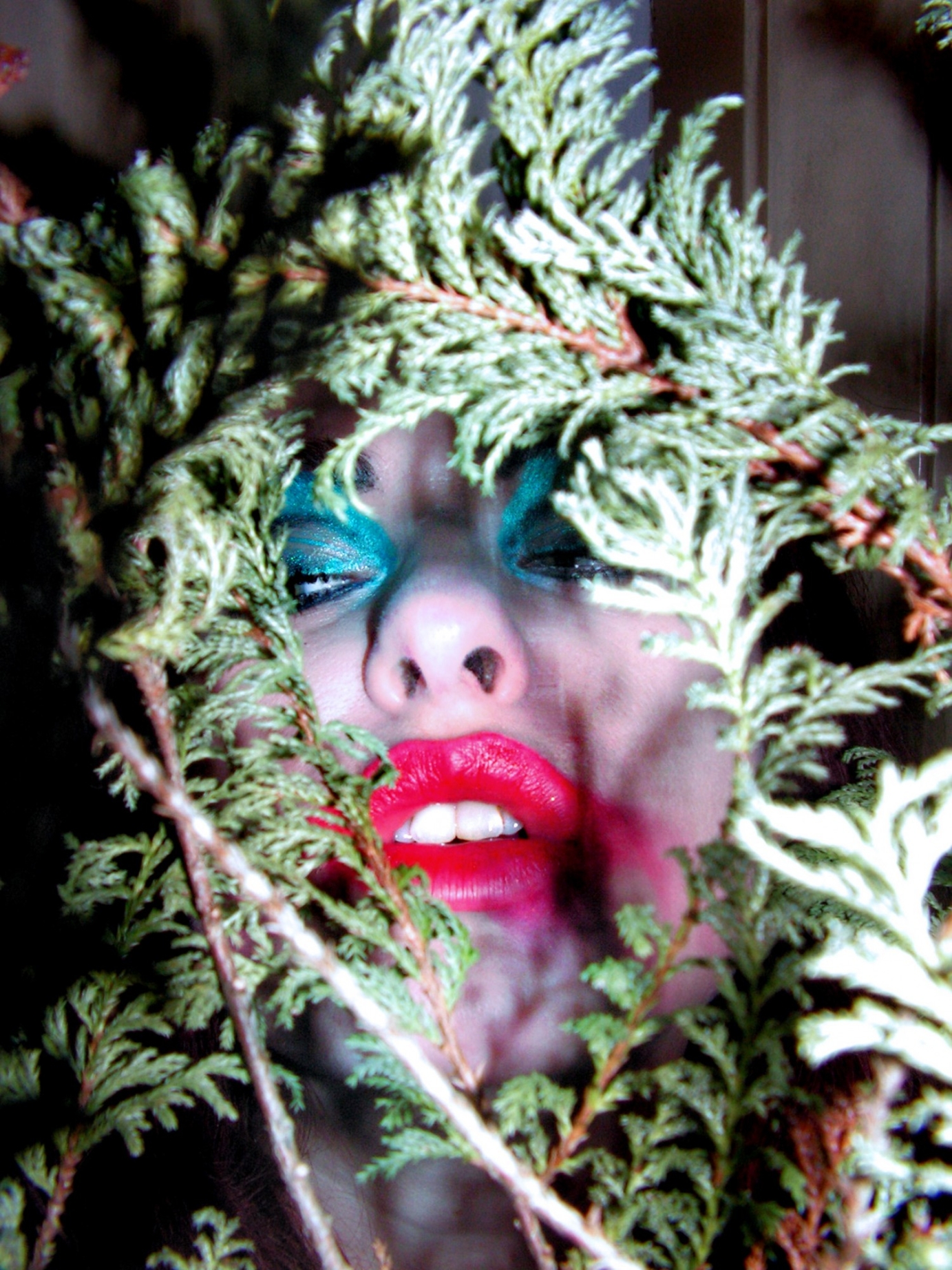 Photography for by PurpleHurricane