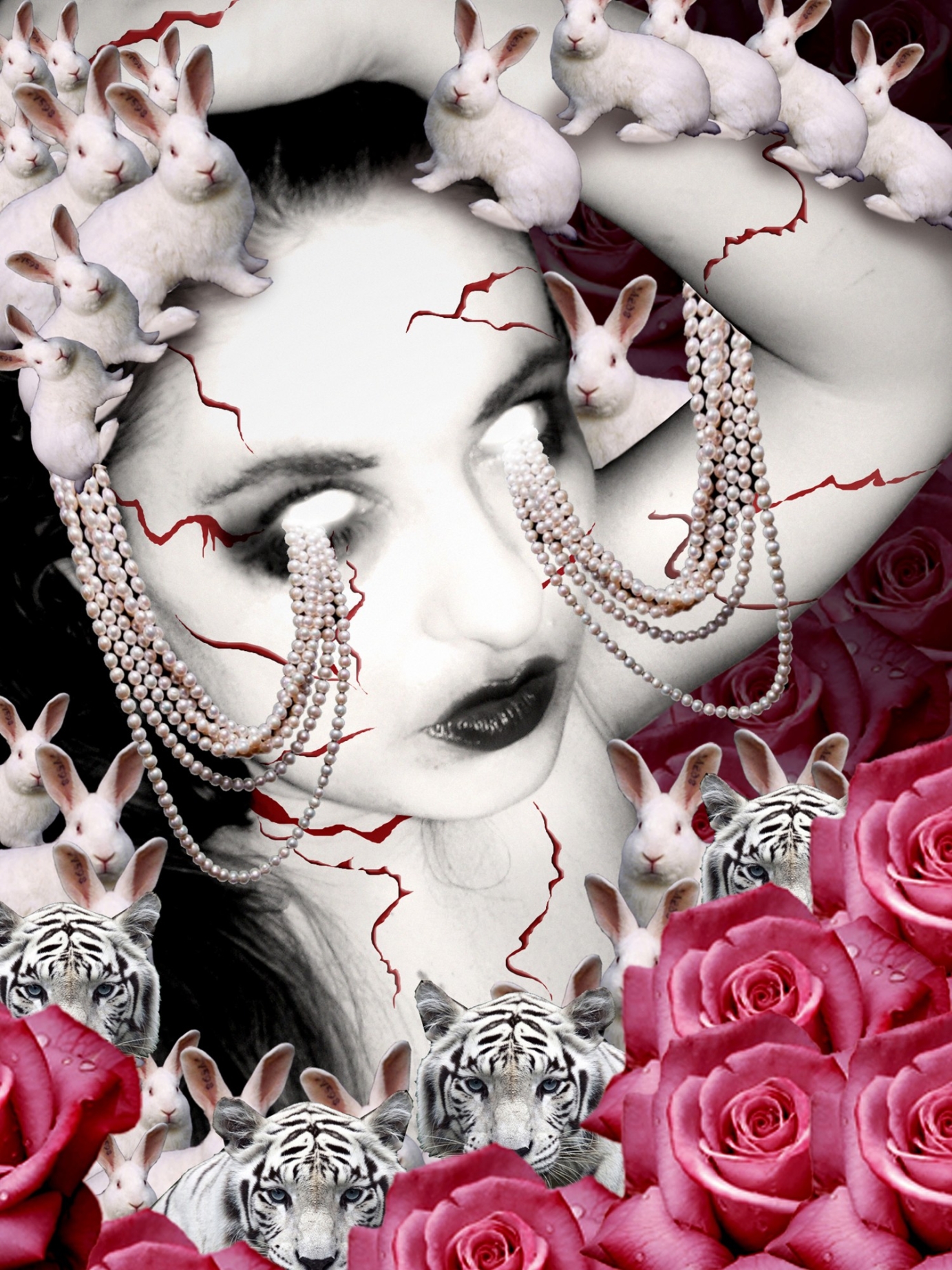 Photography for by PurpleHurricane