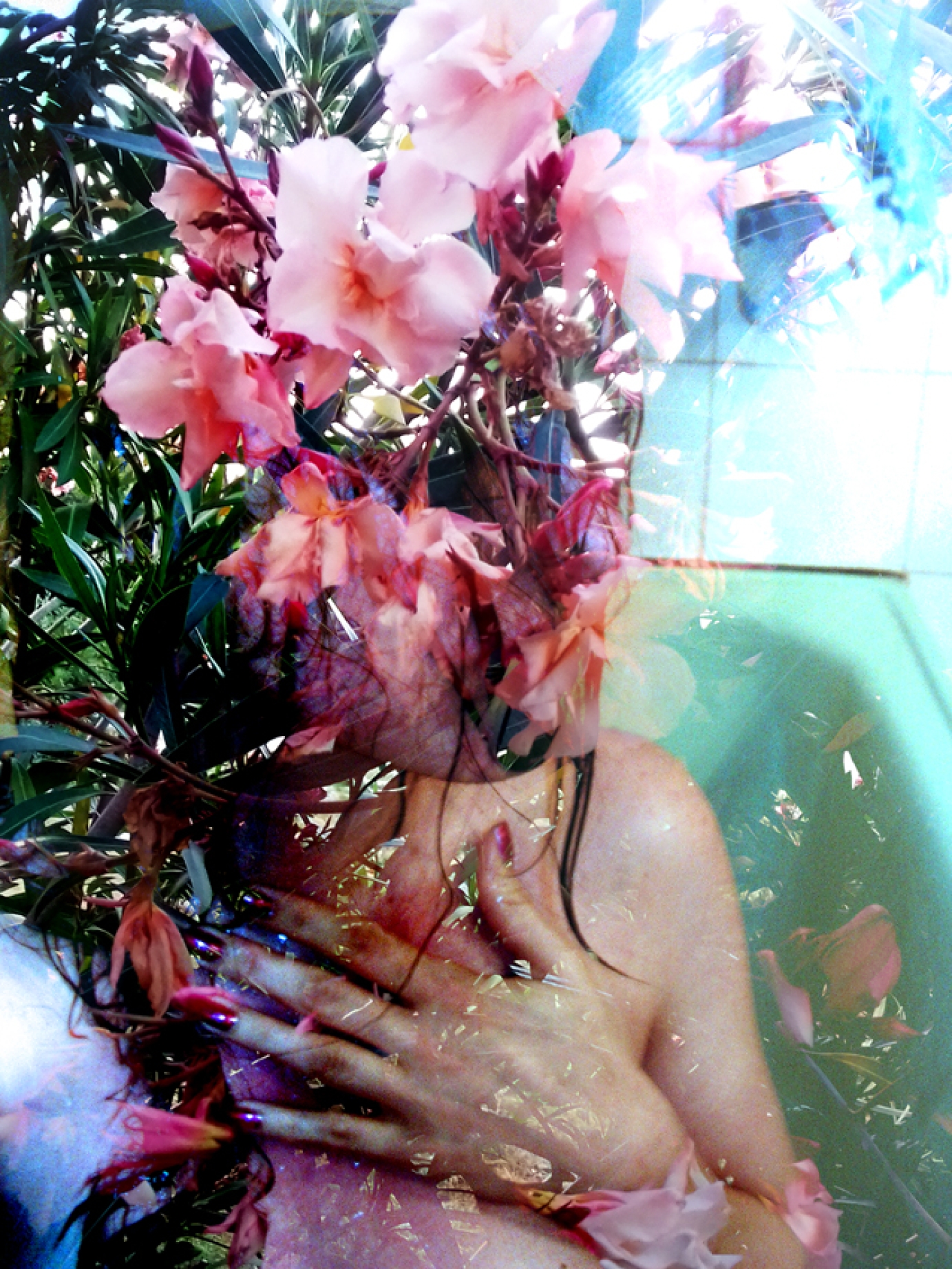 Photography for by PurpleHurricane