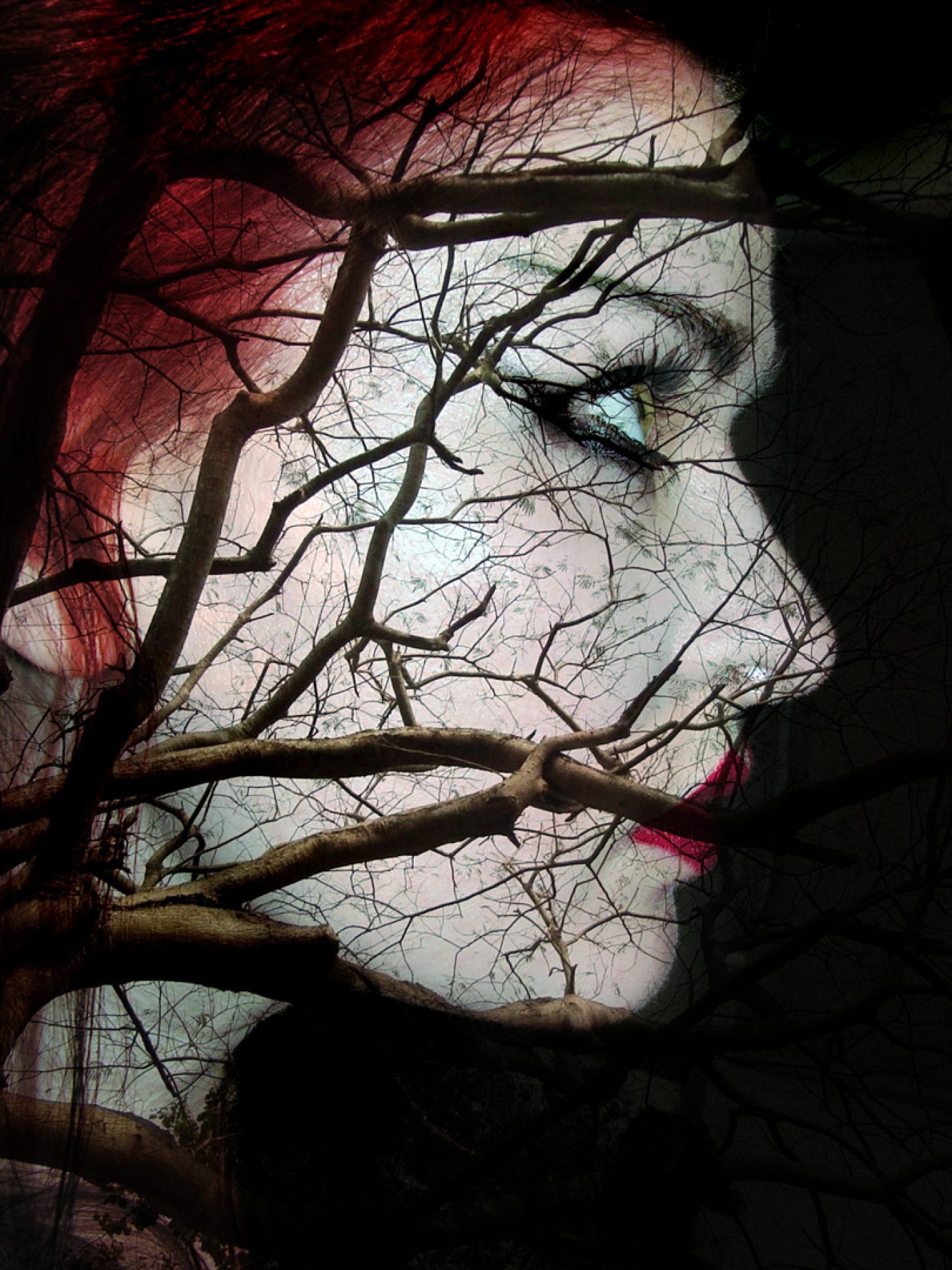 Photography for by PurpleHurricane