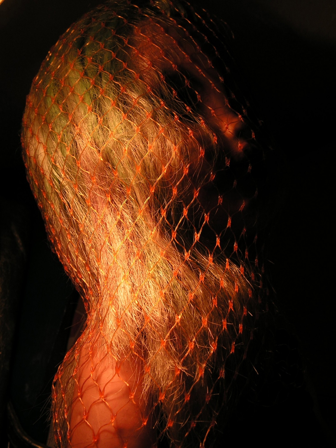 Photography for by PurpleHurricane