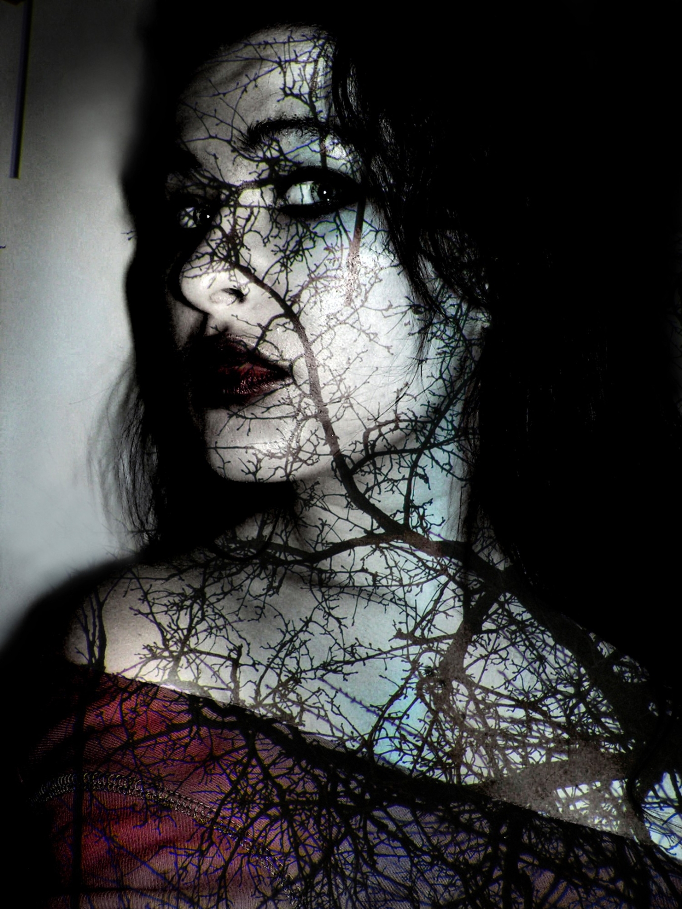 Photography for by PurpleHurricane