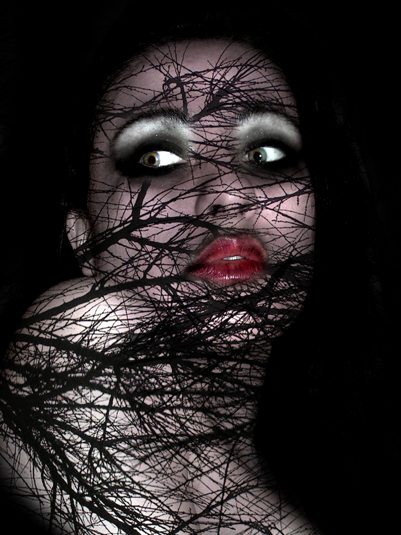 Photography for by PurpleHurricane