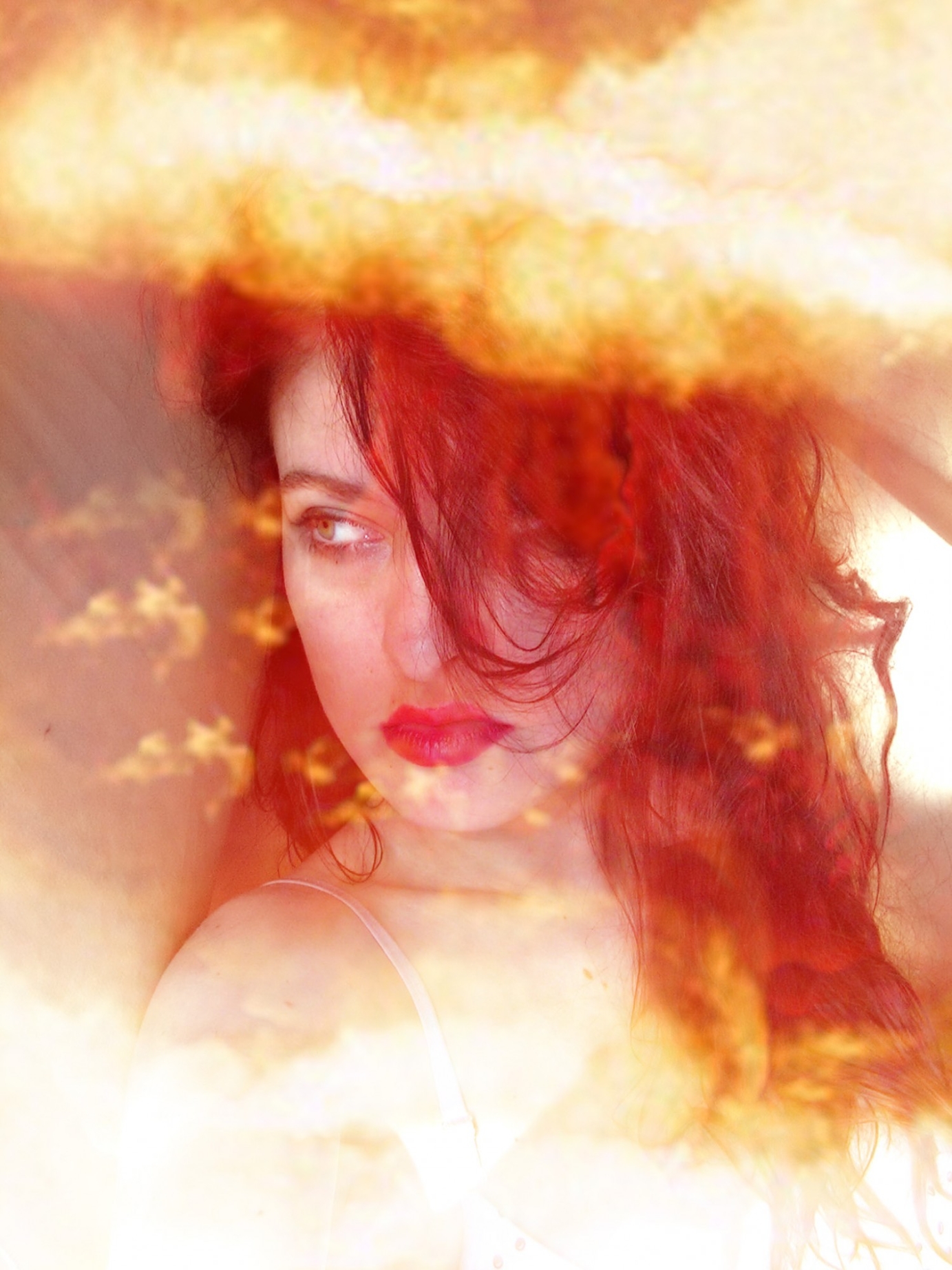 Photography for by PurpleHurricane