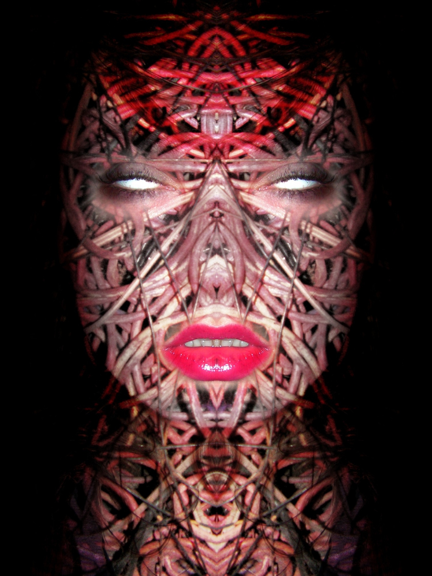 Photography for by PurpleHurricane