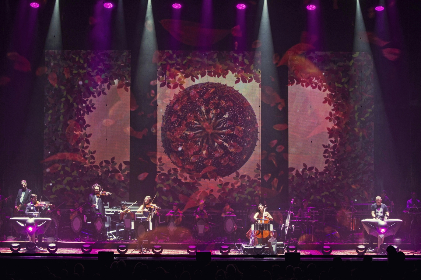 Live photography for Vivaldianno by Lunaroom