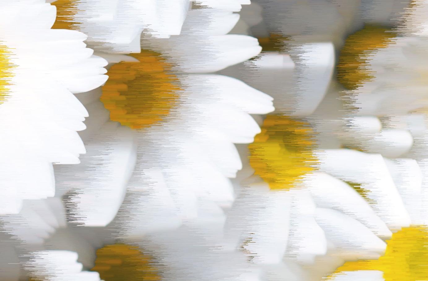 Artwork for Felicity by Tristan Palmer