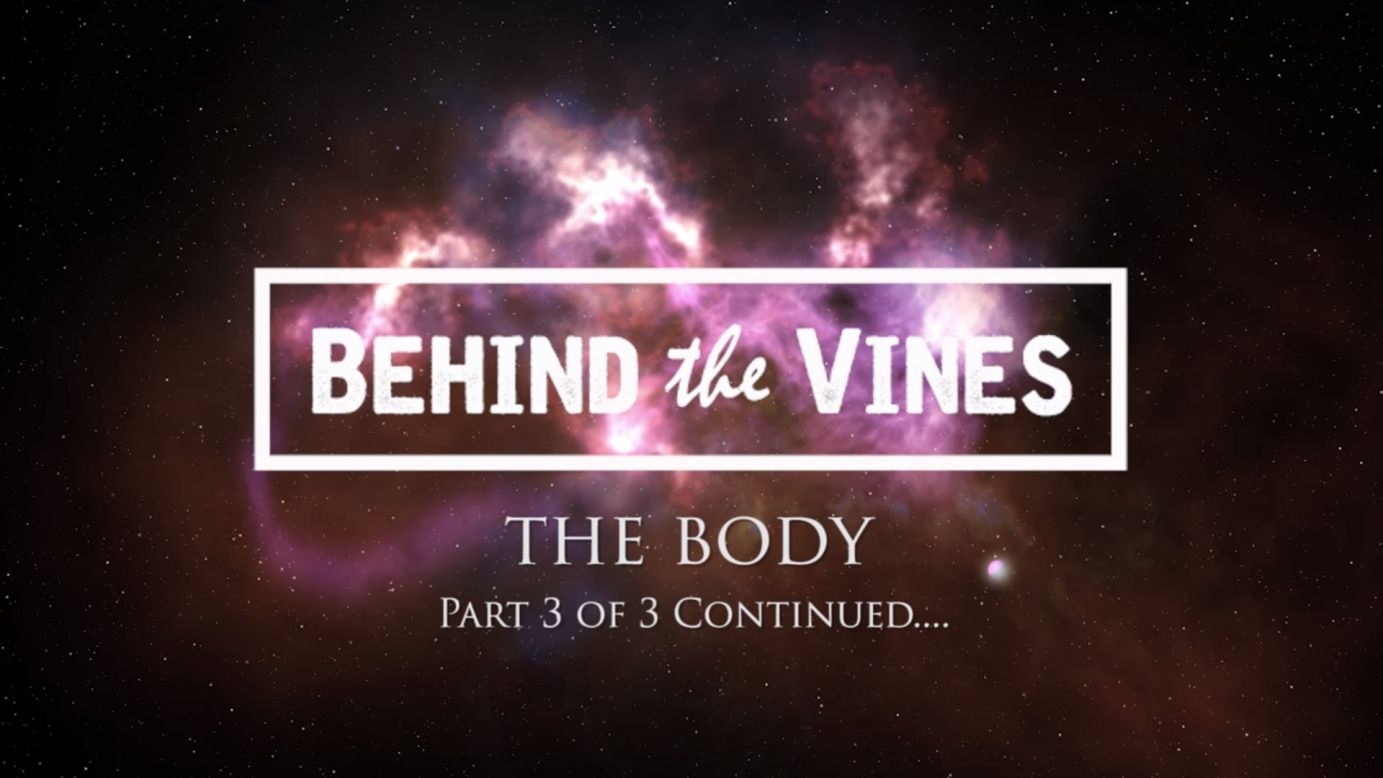 Music video for Behind The Vines by john@kerbute.com