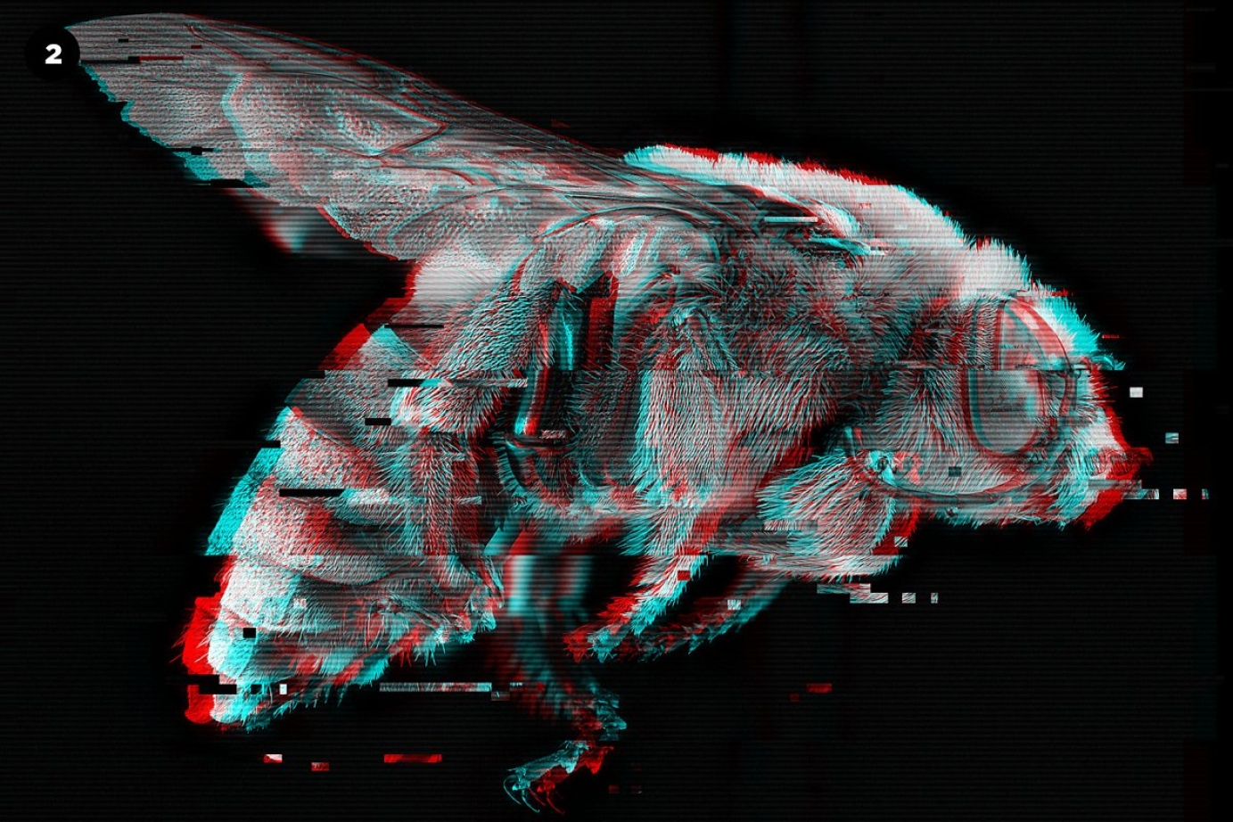 Graphic design for by Kimwilson