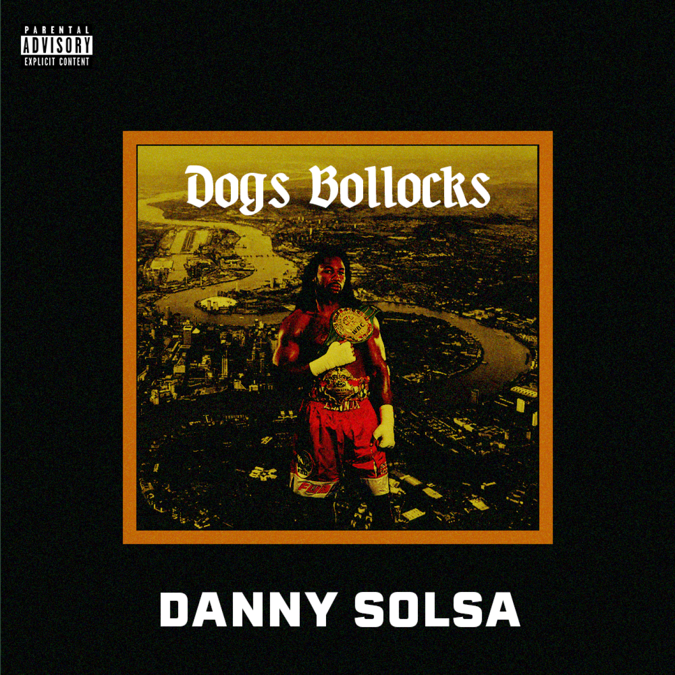 Danny Solsa's Cover Art