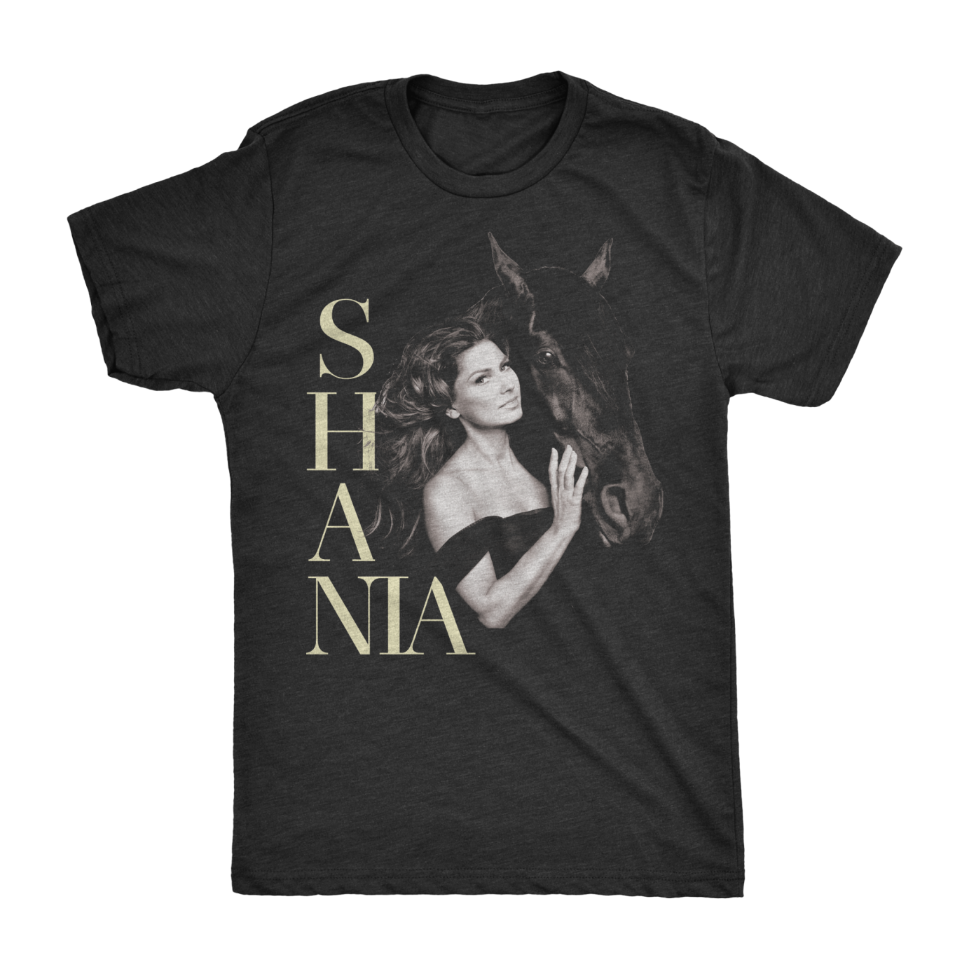 Graphic design for Shania Twain by dxvidesigns