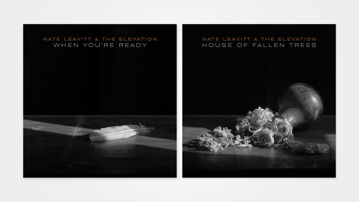 Artwork for Nate Leavitt & The Elevation by thesecretbureau