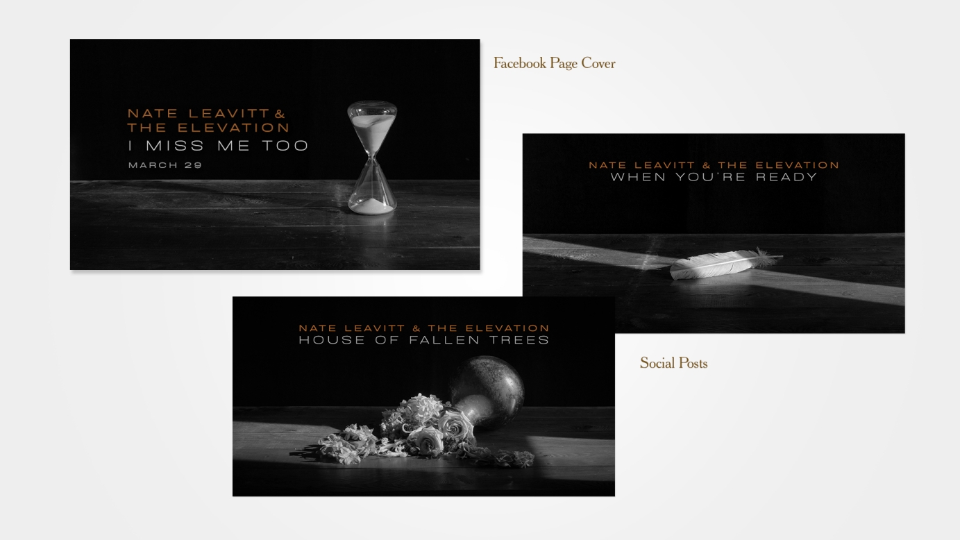 Artwork for Nate Leavitt & The Elevation by thesecretbureau