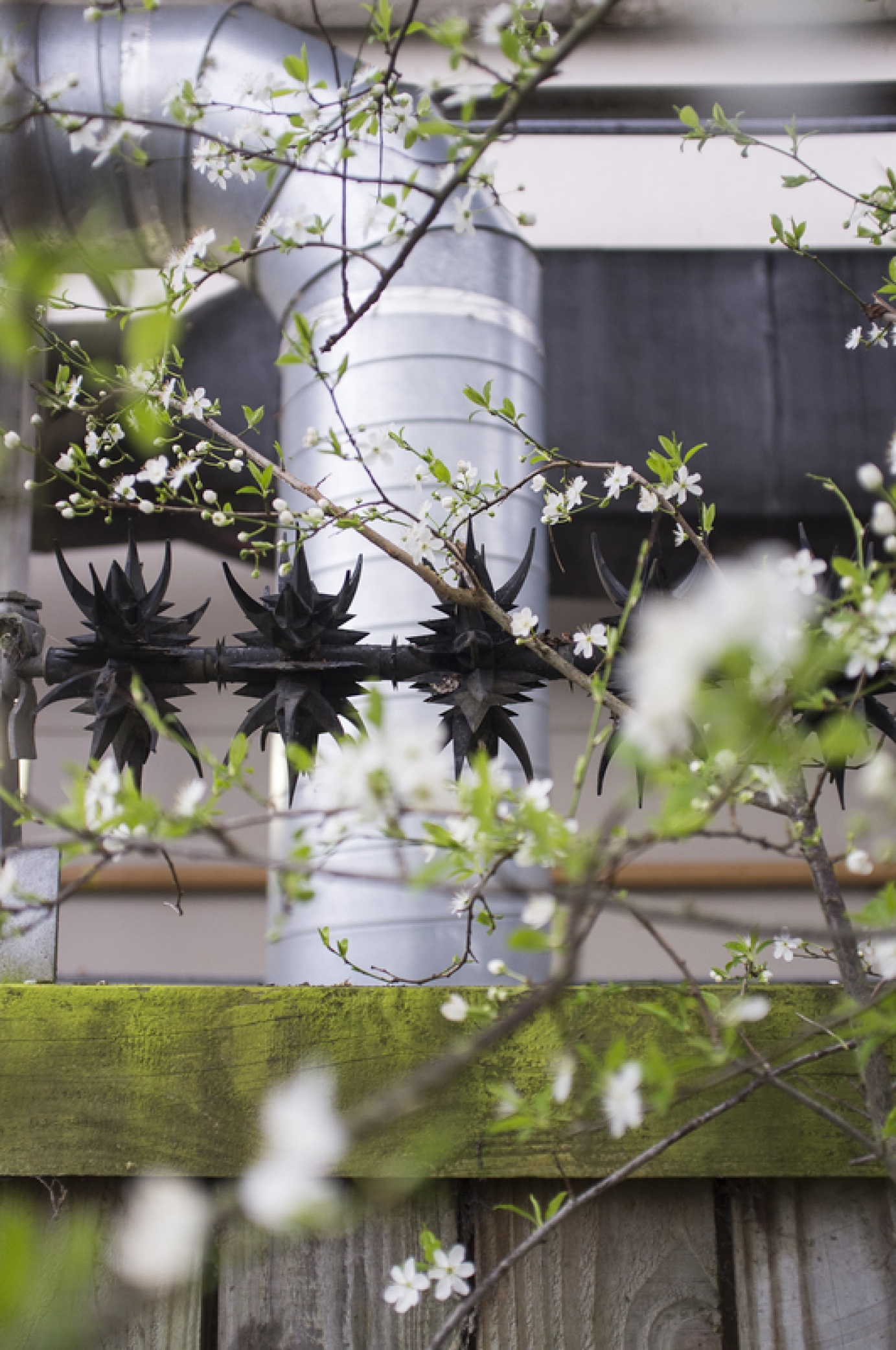 Photography for by BBP