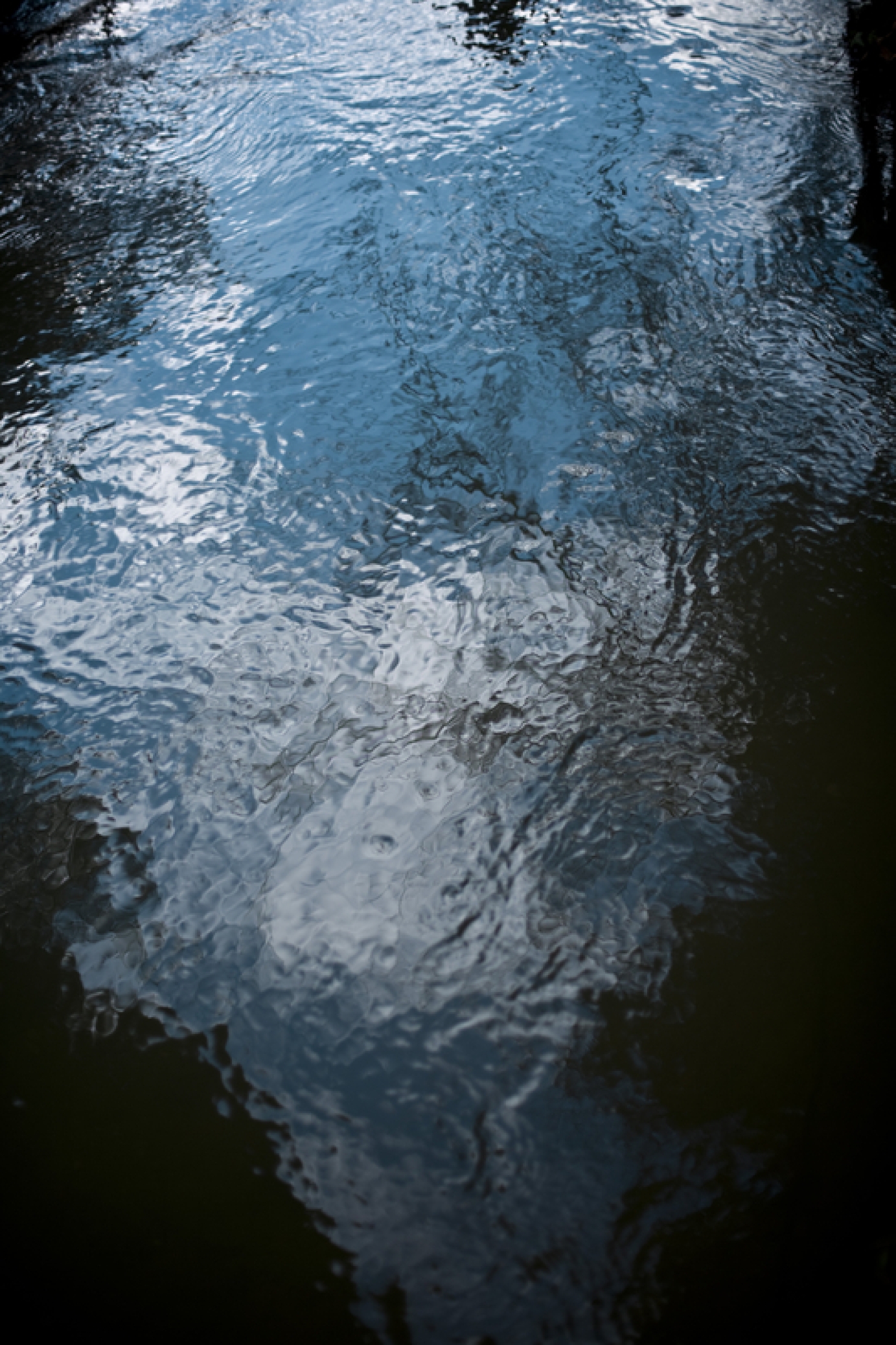 Photography for by BBP