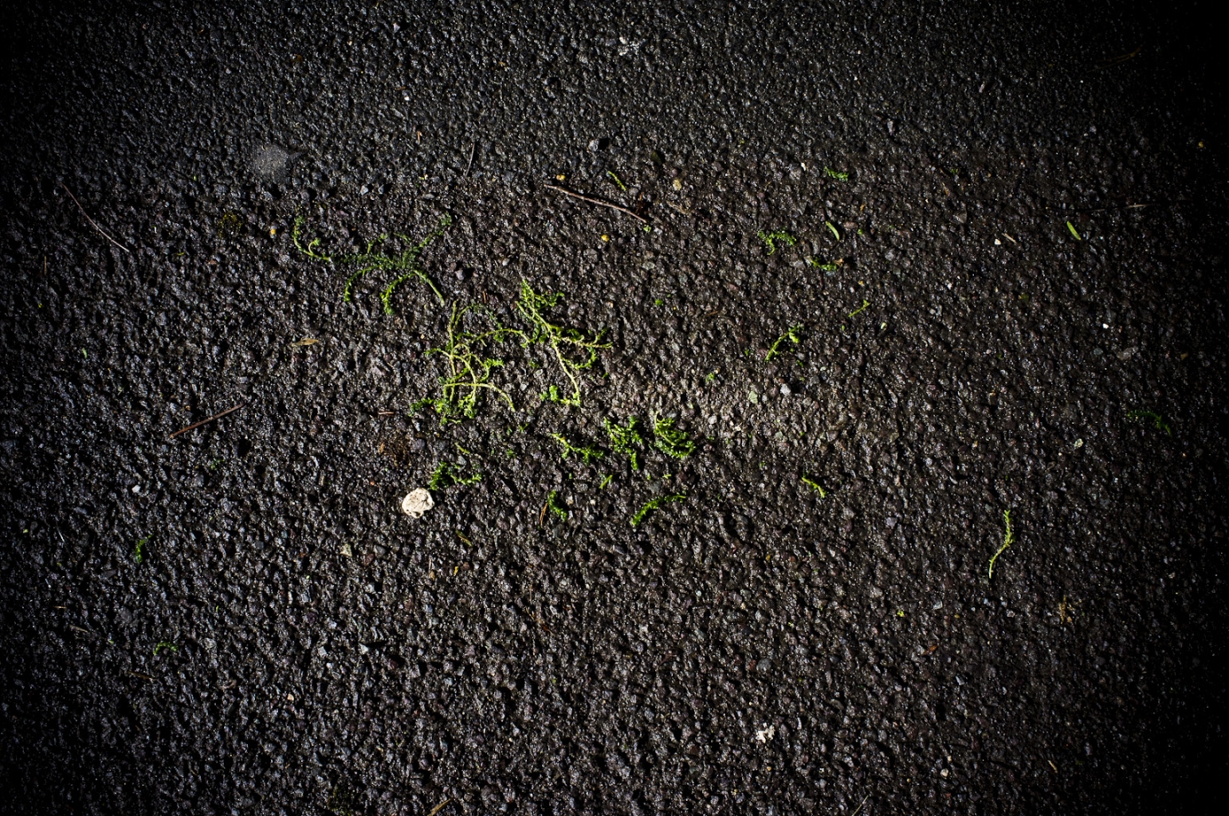 Photography for by BBP