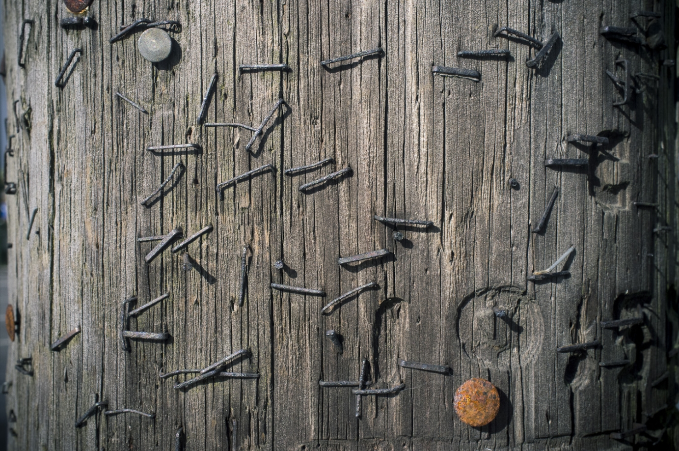 Photography for by BBP