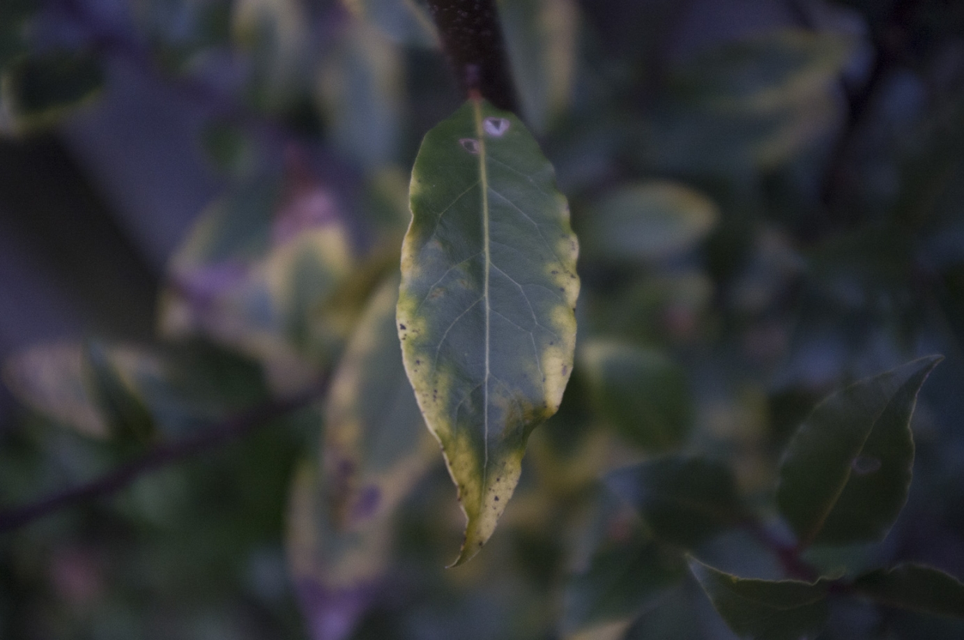 Photography for by BBP