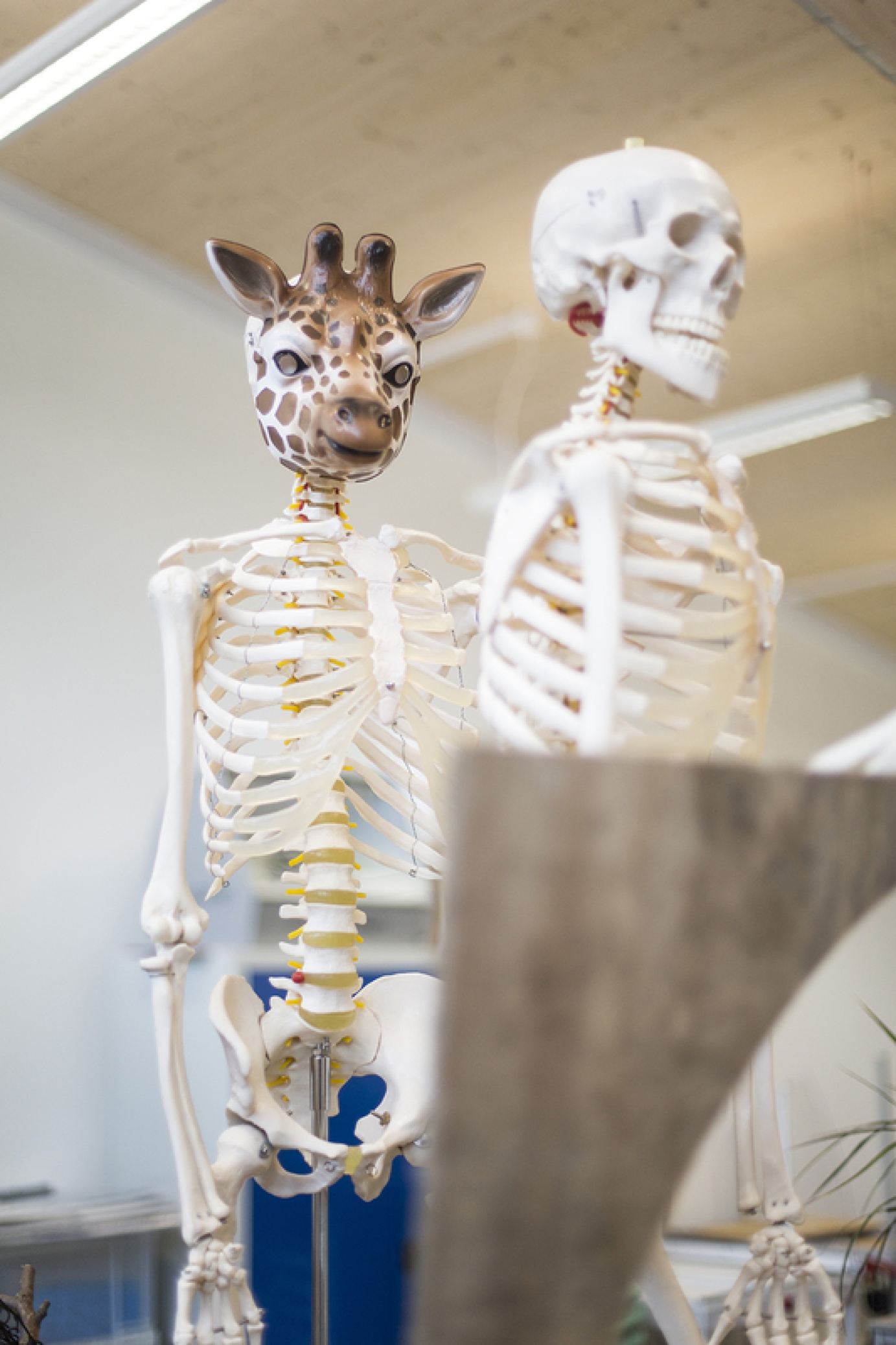 Photography for by BBP