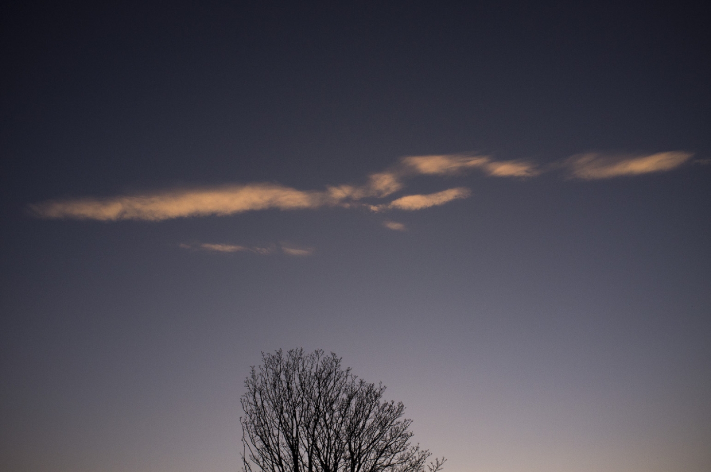 Photography for by BBP