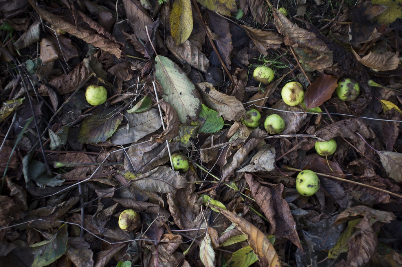 Photography for by BBP