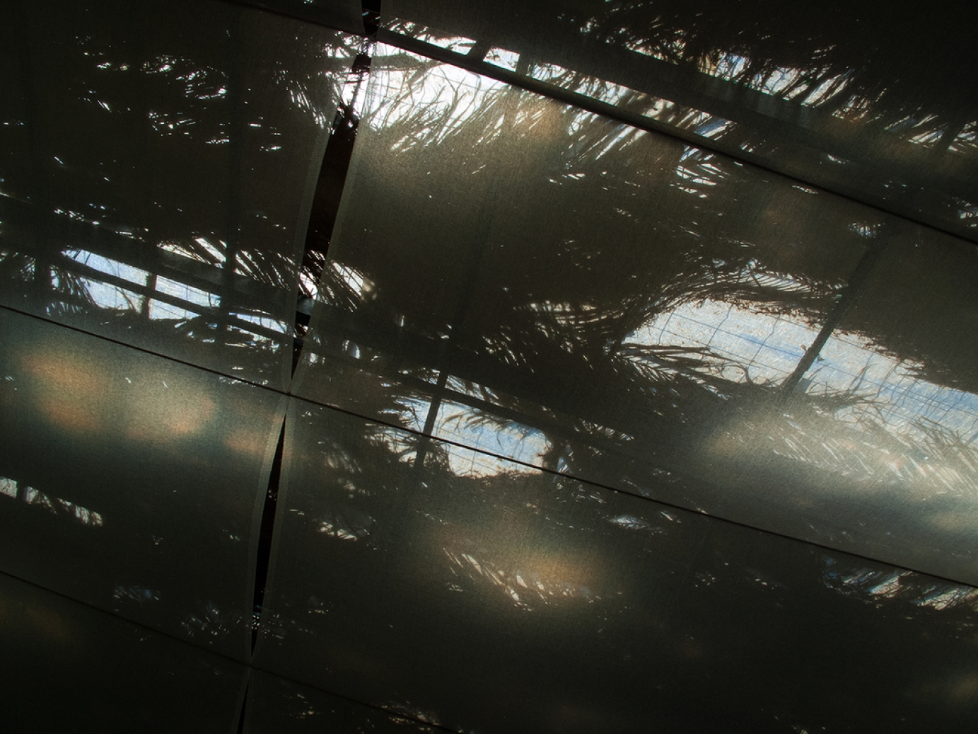 Photography for by BBP