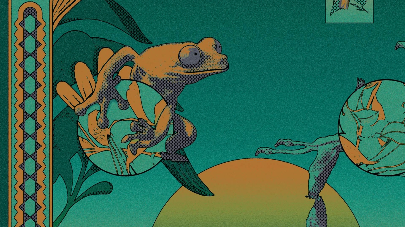 Art Print for Rainforest Trust & Drool