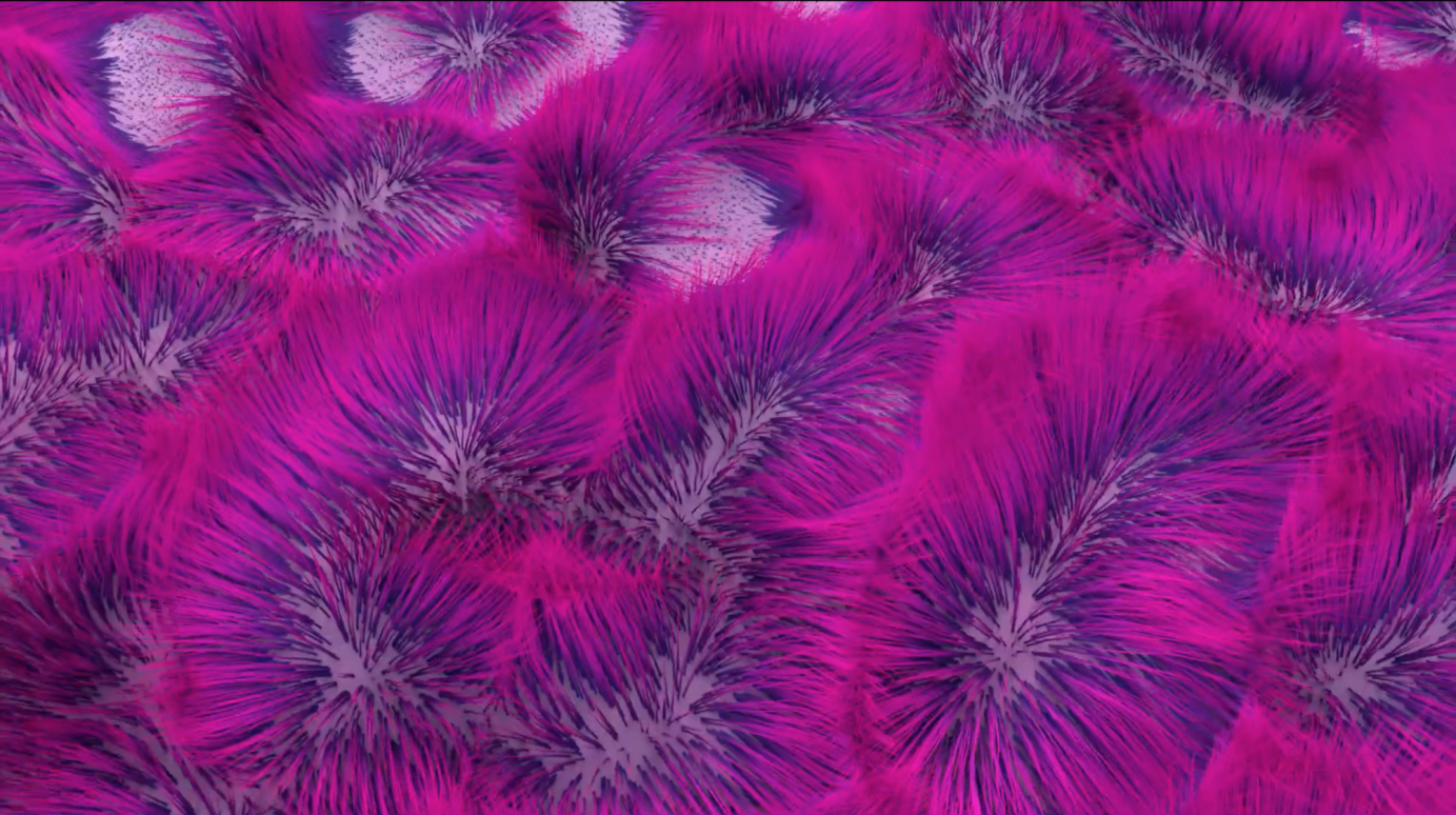 Narcsus Prye - I'm Lost