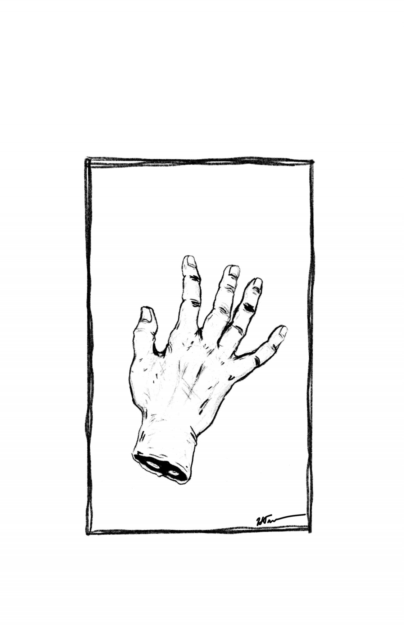 Black and White Illustrations