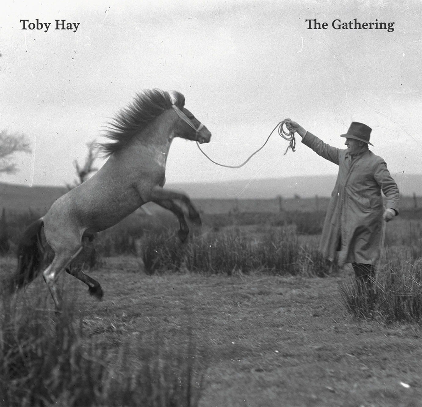 Toby Hay, The Gathering LP