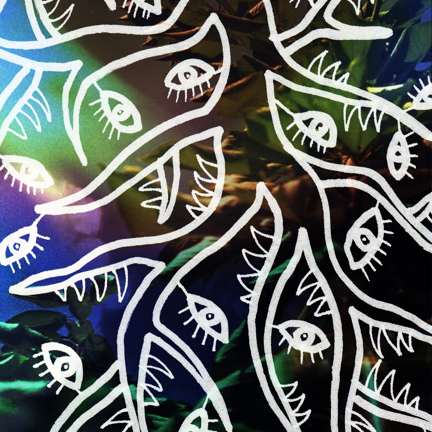 Trwbador, Several Wolves