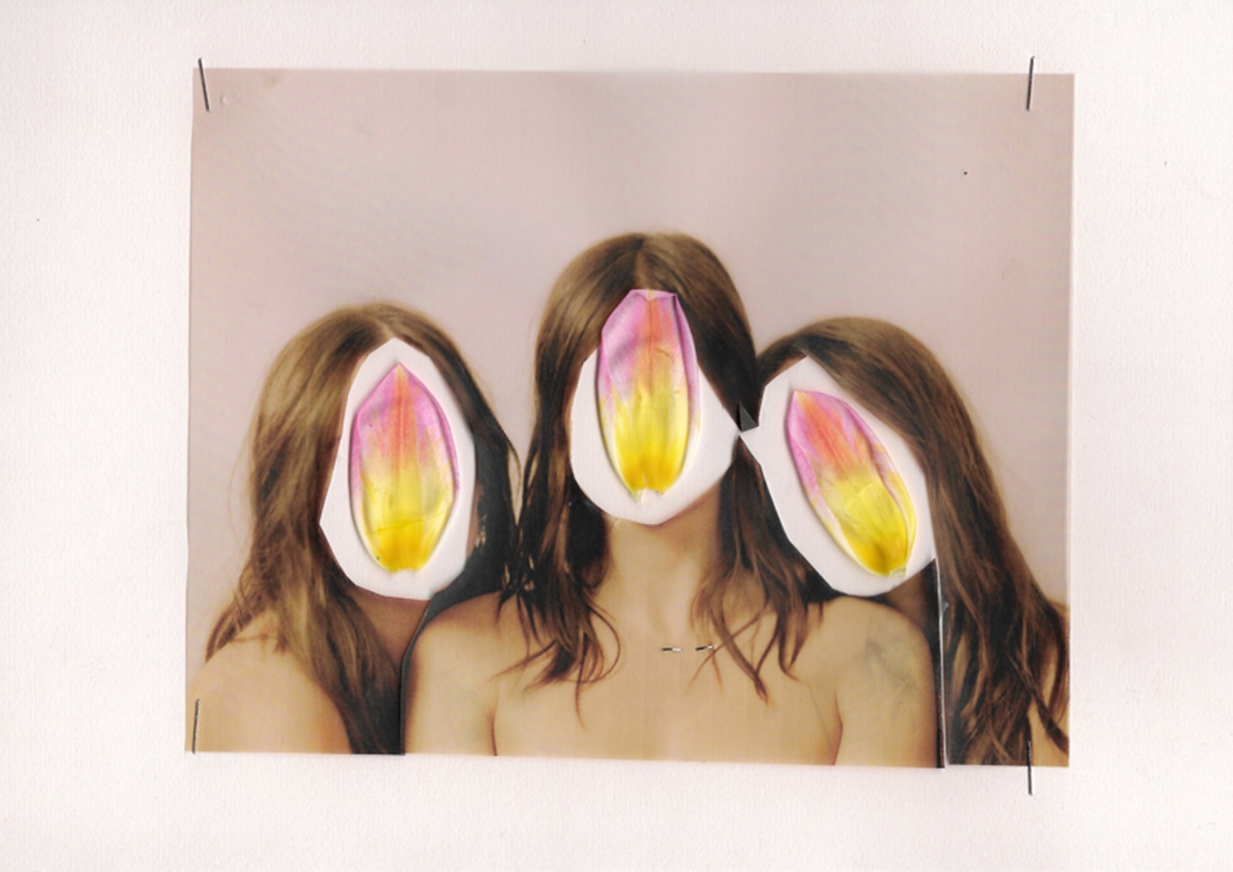 A Place With Pinwheels