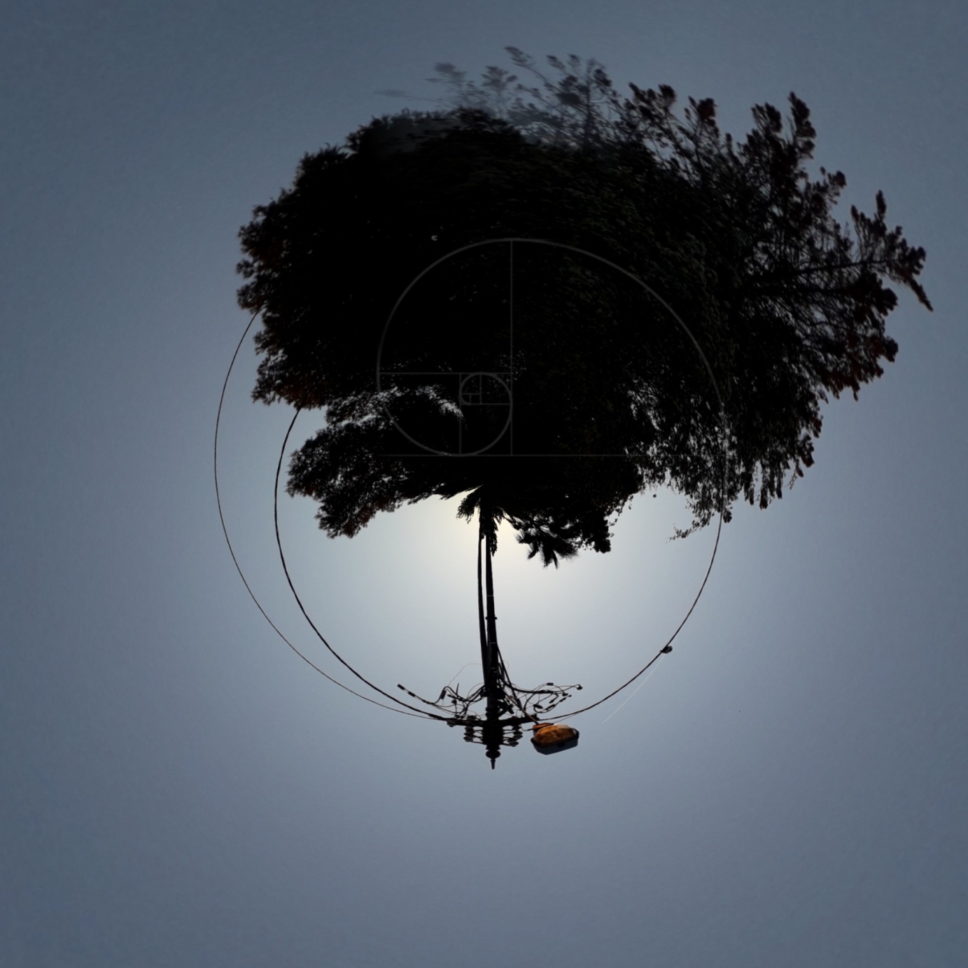 Visible Spectrum_Season_19