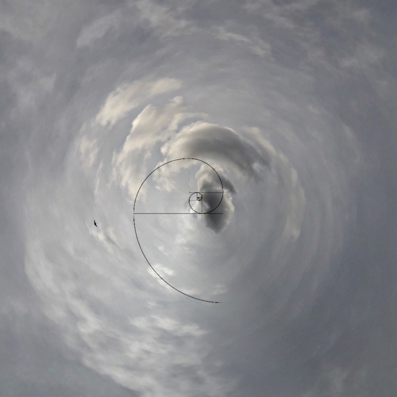 Visible Spectrum_Season_19