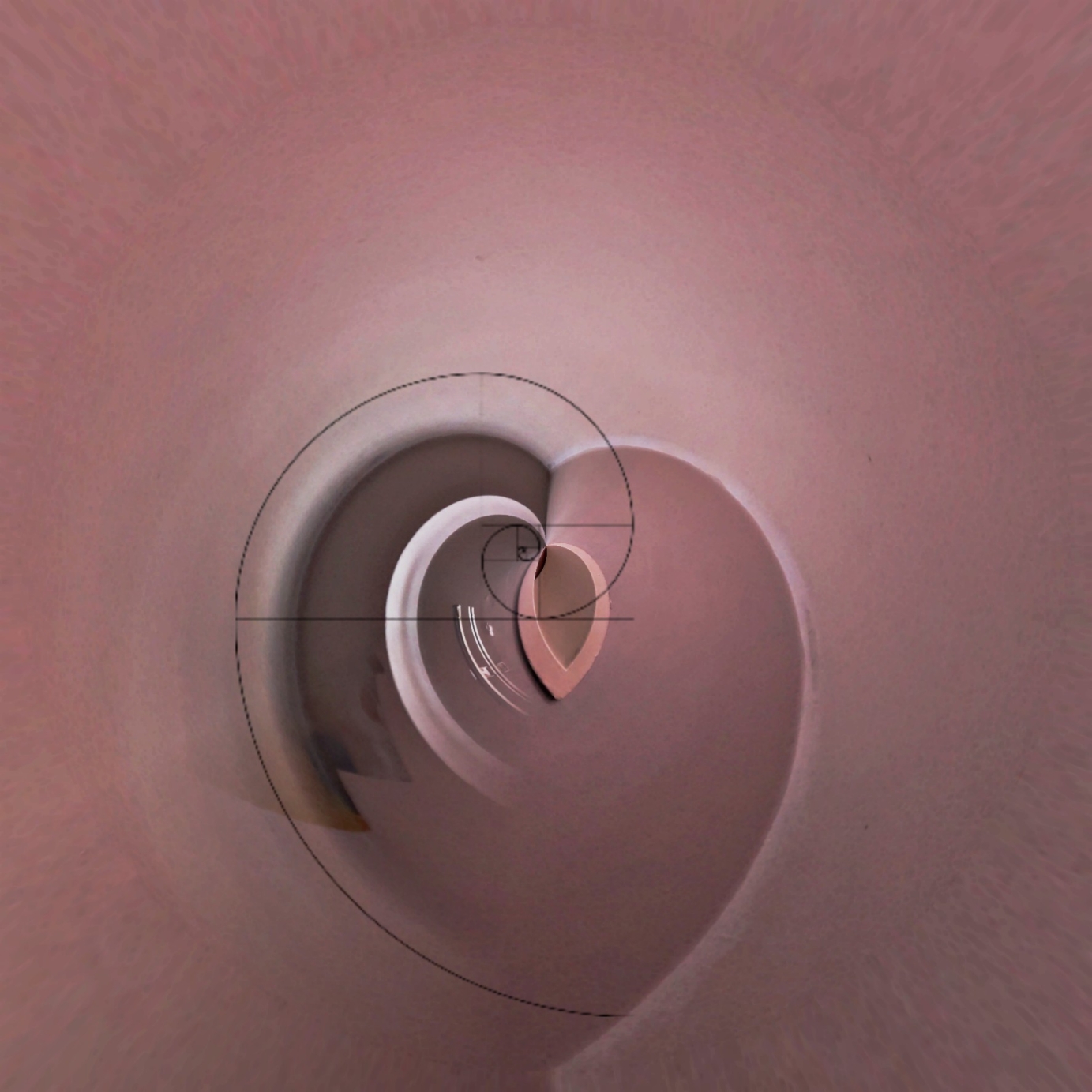 Visible Spectrum_Season_19