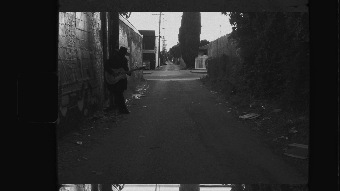 Reaper Wild The Coyote