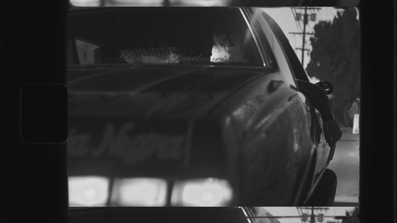 Reaper Wild The Coyote