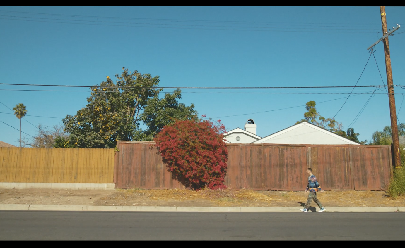 Aaron's Wave (video)